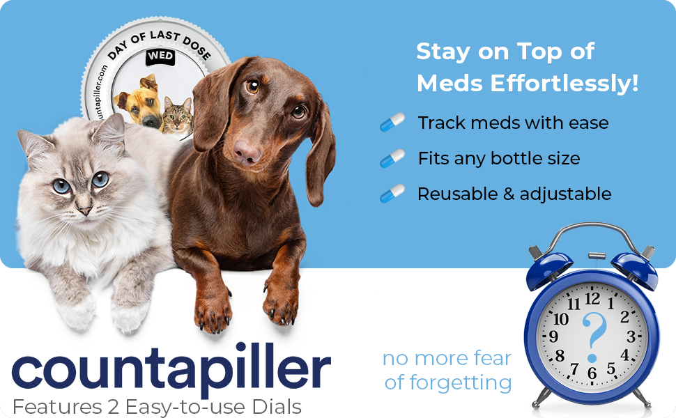 Pet Countapiller - Countapiller